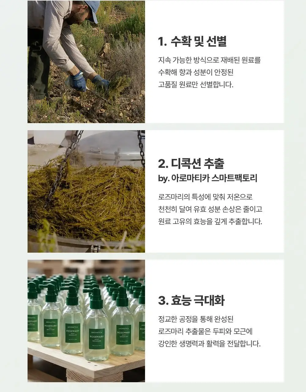 [1등토닉/탈모증상완화] 아로마티카 로즈마리 루트인핸서 100ml (단품/더블기획) 상세페이지 21